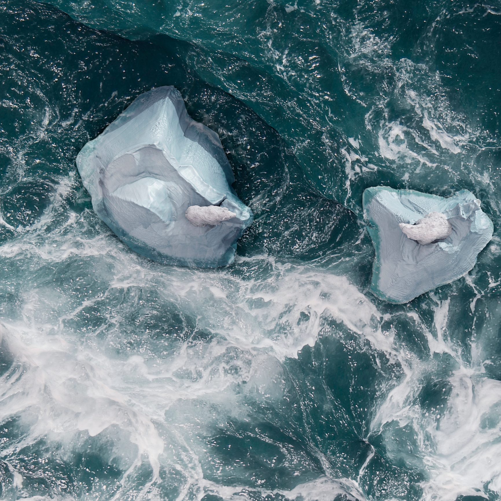 Aerial view of two polar bears on top of separated icebergs