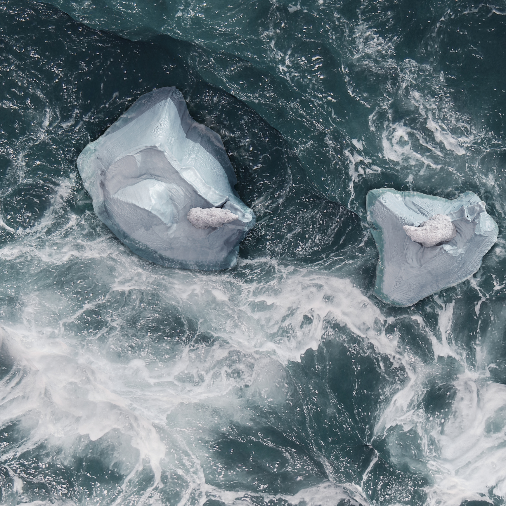 Aerial view of two polar bears on top of separated icebergs