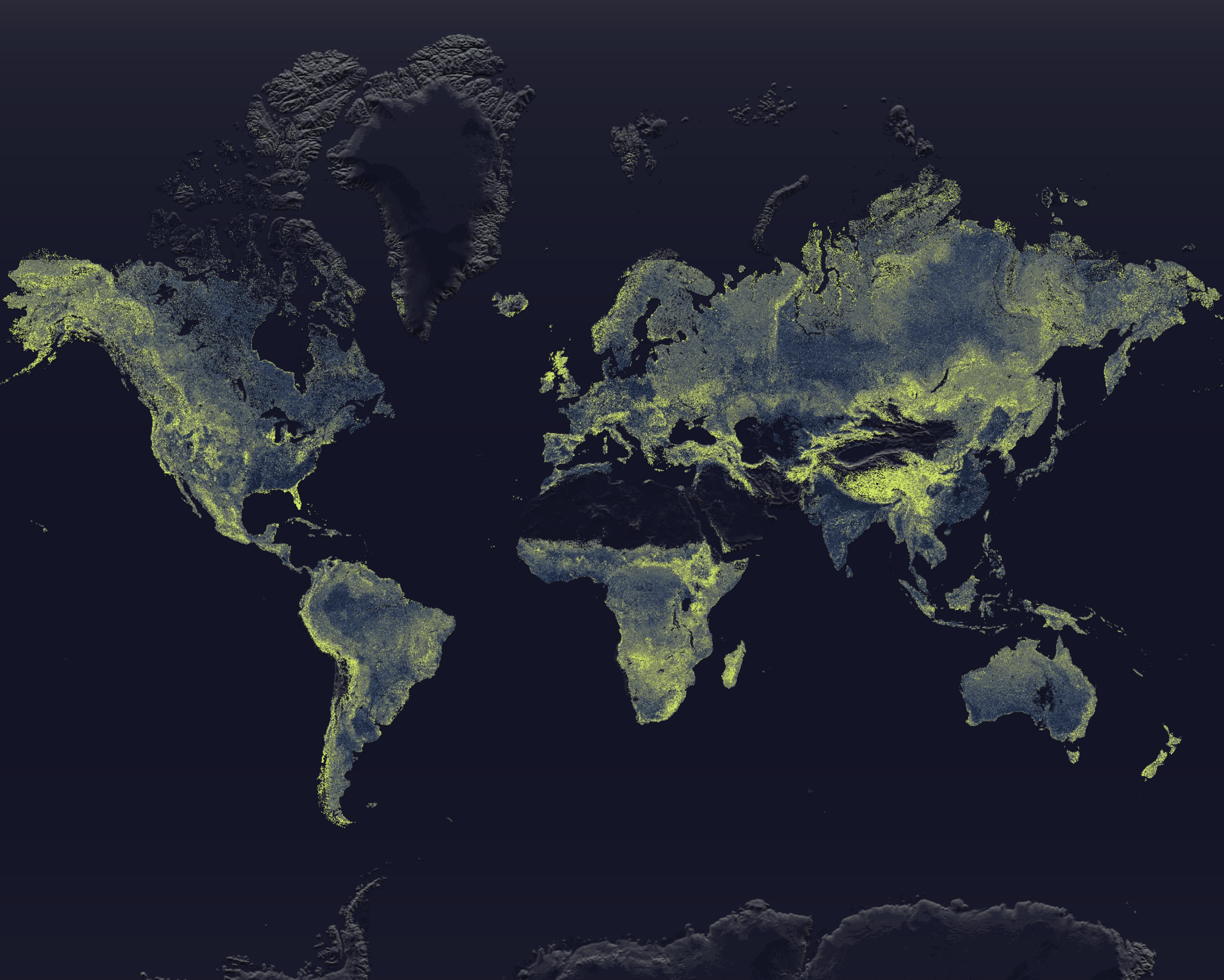 The Mycorrhizal Infrastructure Map showing the underground network.