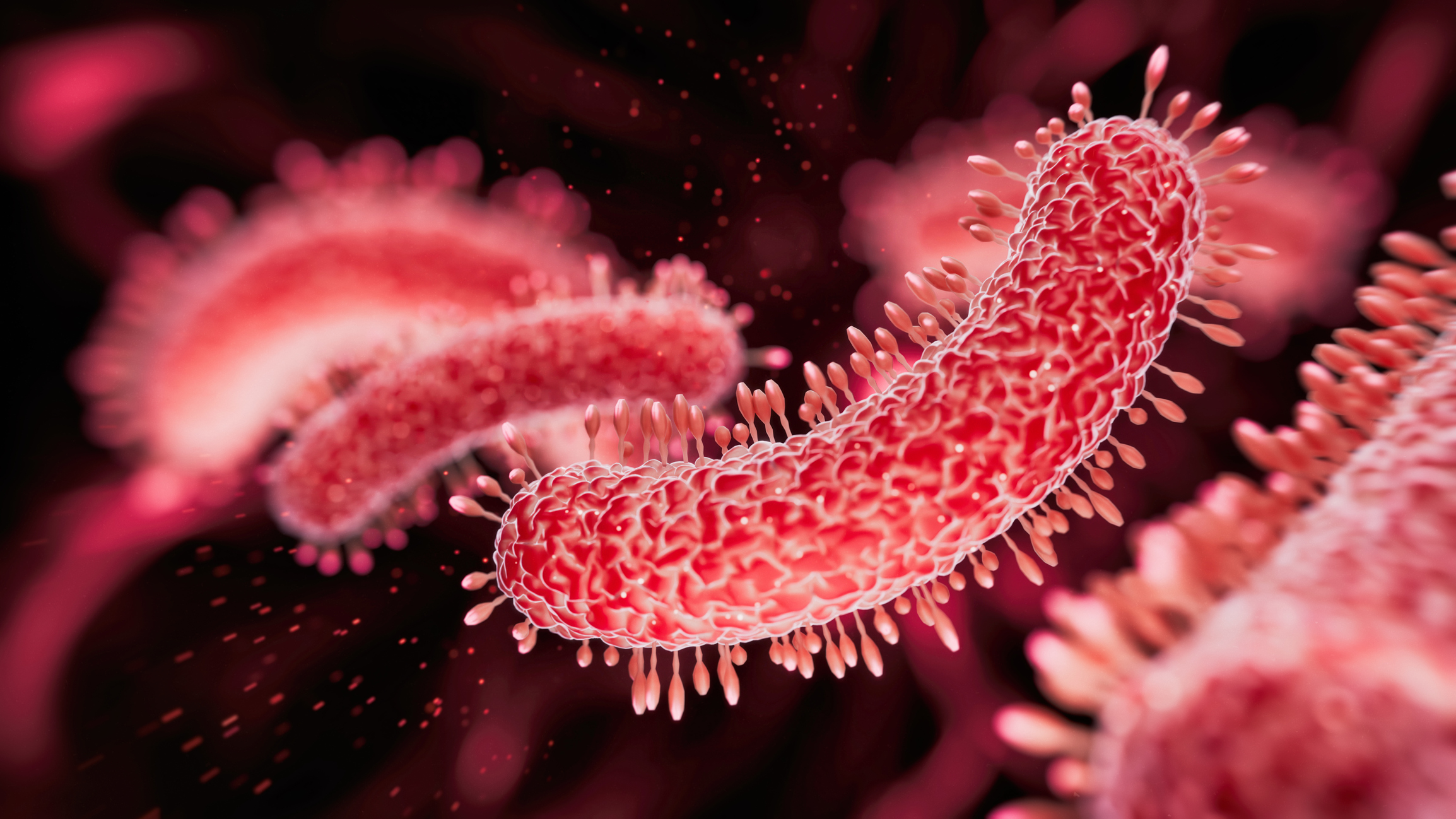 Bacteria medical illustration - 3d rendered microbiology image. Illustrate of Lactobacillus Bulgaricus Bacteria, Microbacterium Tuberculosis Bacteria (MTB).