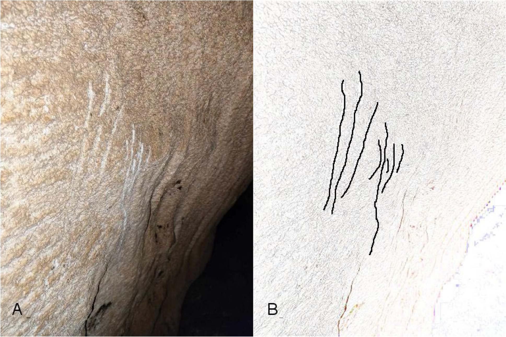 Bear scratch marks in the deepest section of the Stefou Pothole