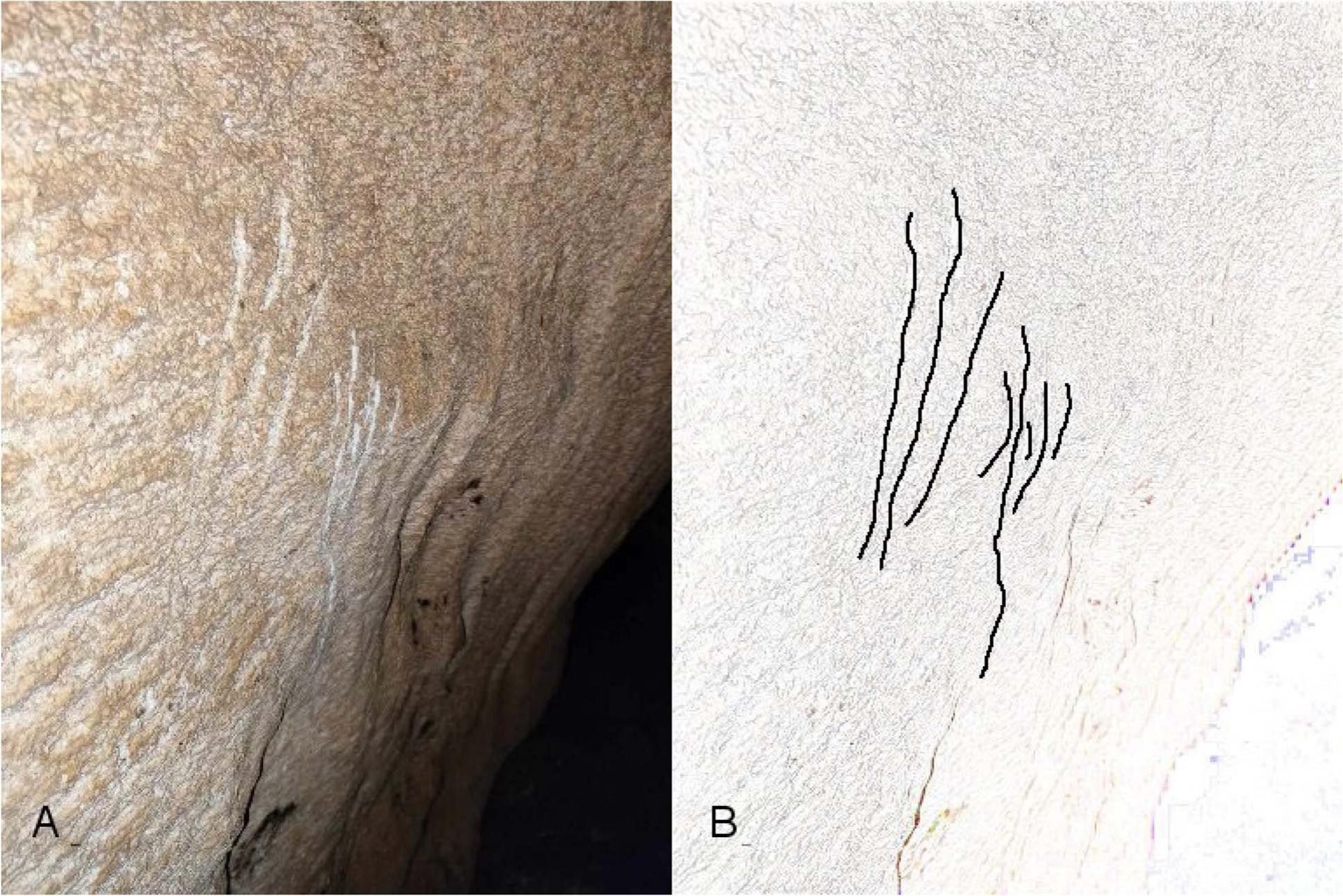 Bear scratch marks in the deepest section of the Stefou Pothole