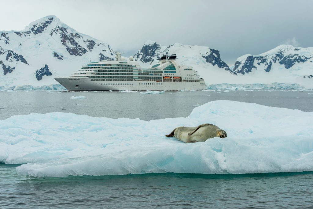 Cruise ship Seabourn Quest in Paradise Bay with leopard seal on an ice floe in the foreground