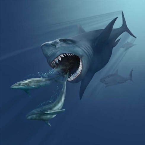 Megalodon pursuing two Eobalaenoptera whales.
