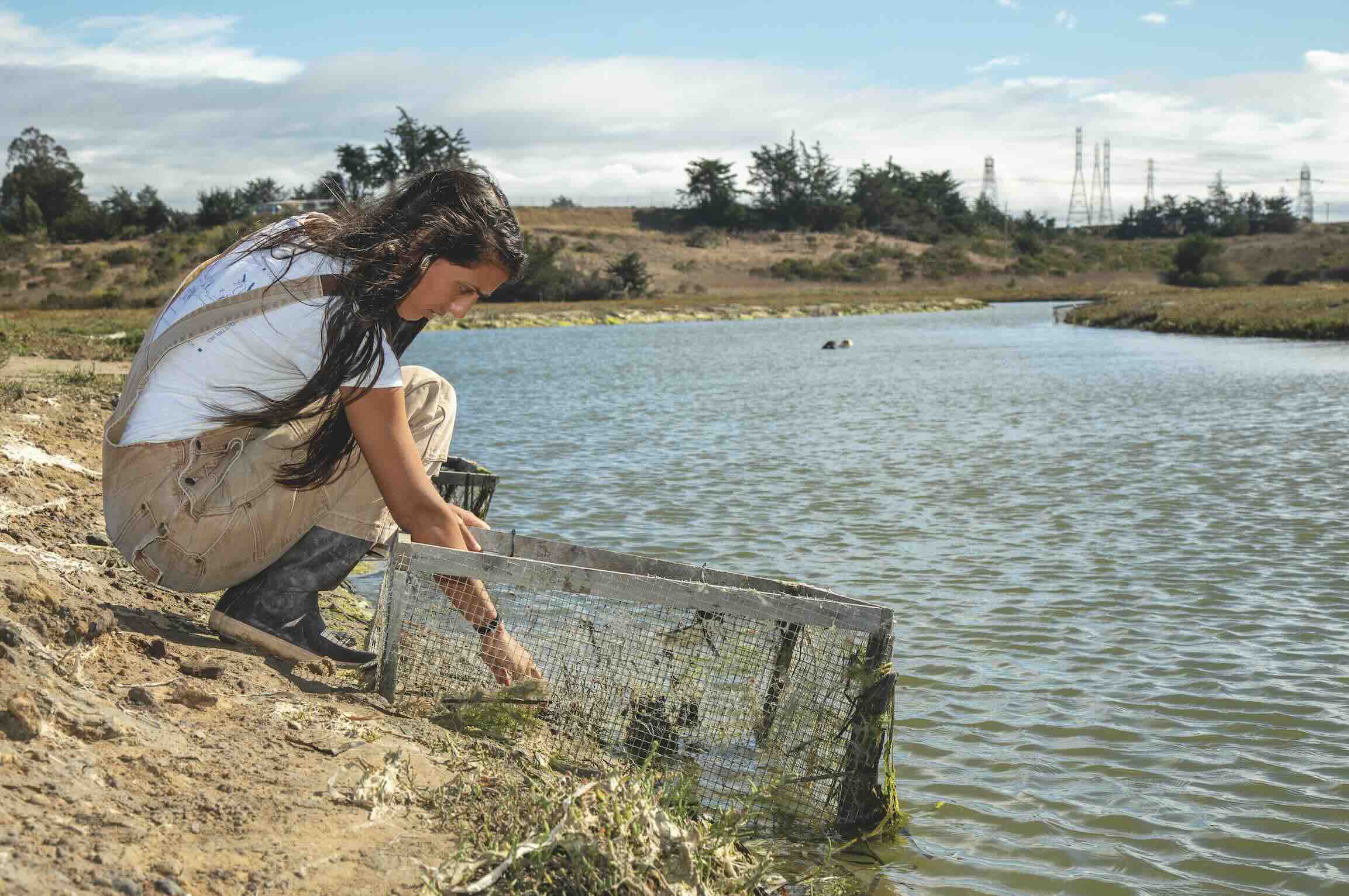 Kathryn Beheshti counting crab burrows at Elkhorn Slough