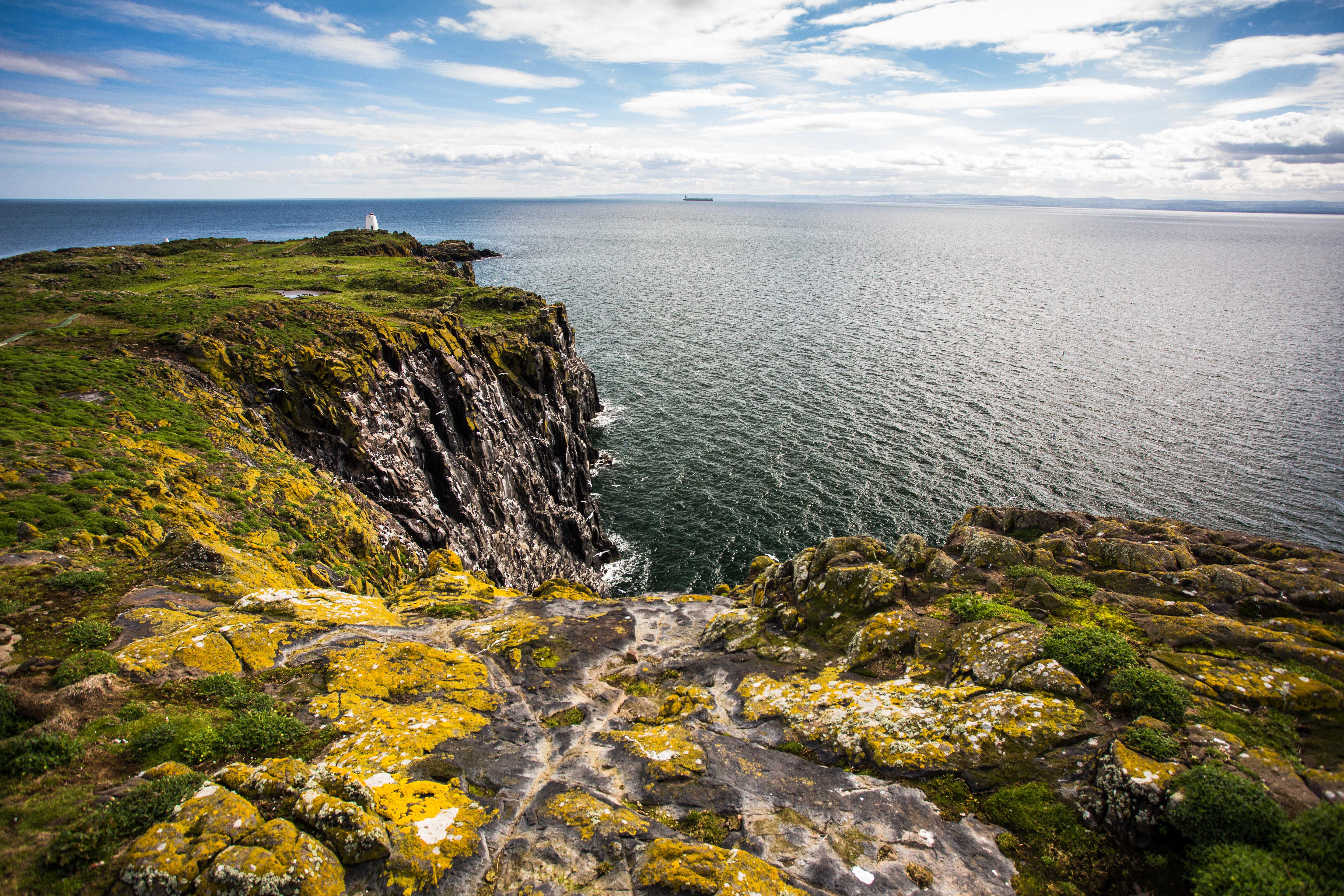 Isle of May, Scotland Isle of May, Scotland