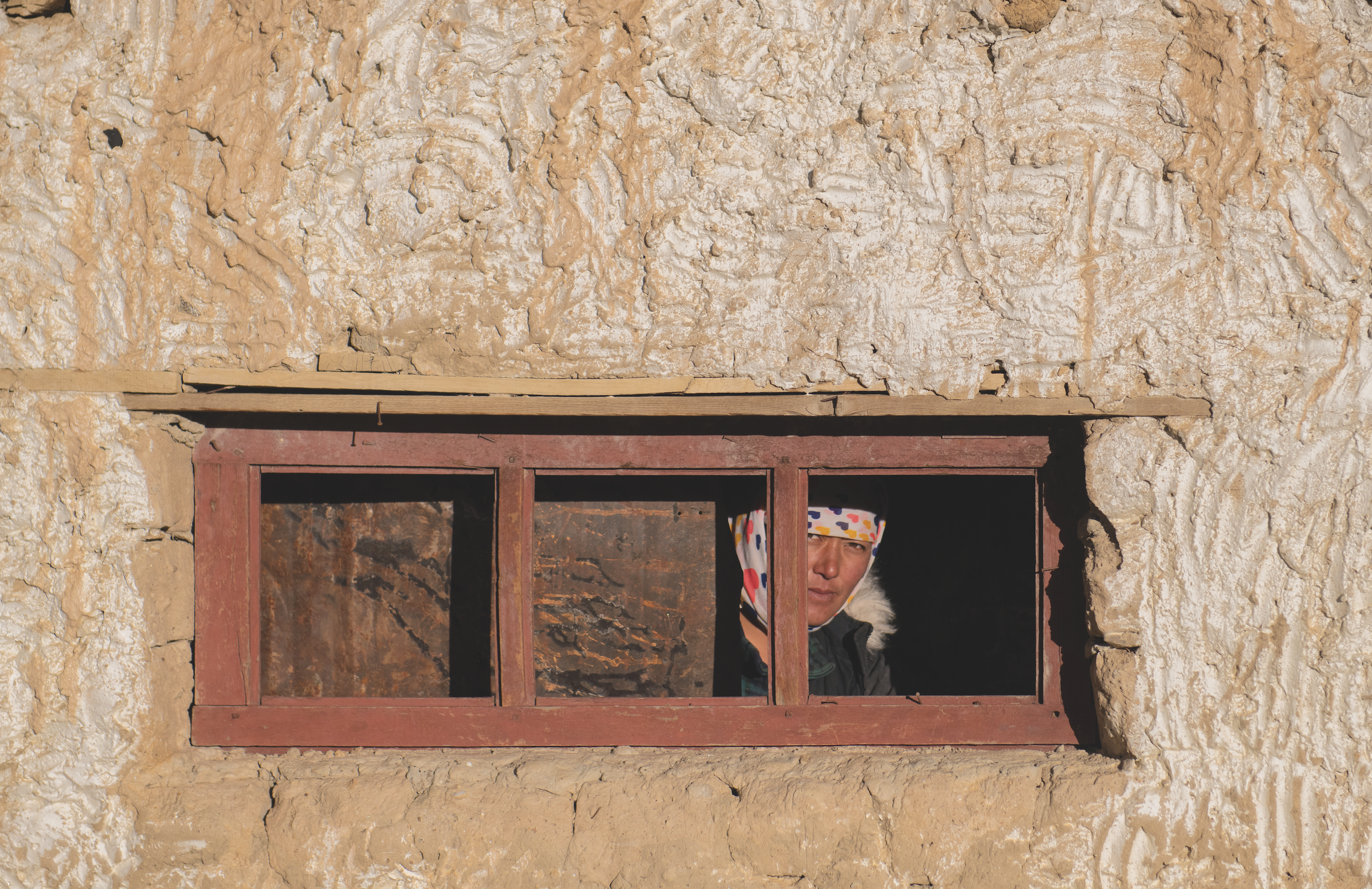 The owner gets back her view through the window