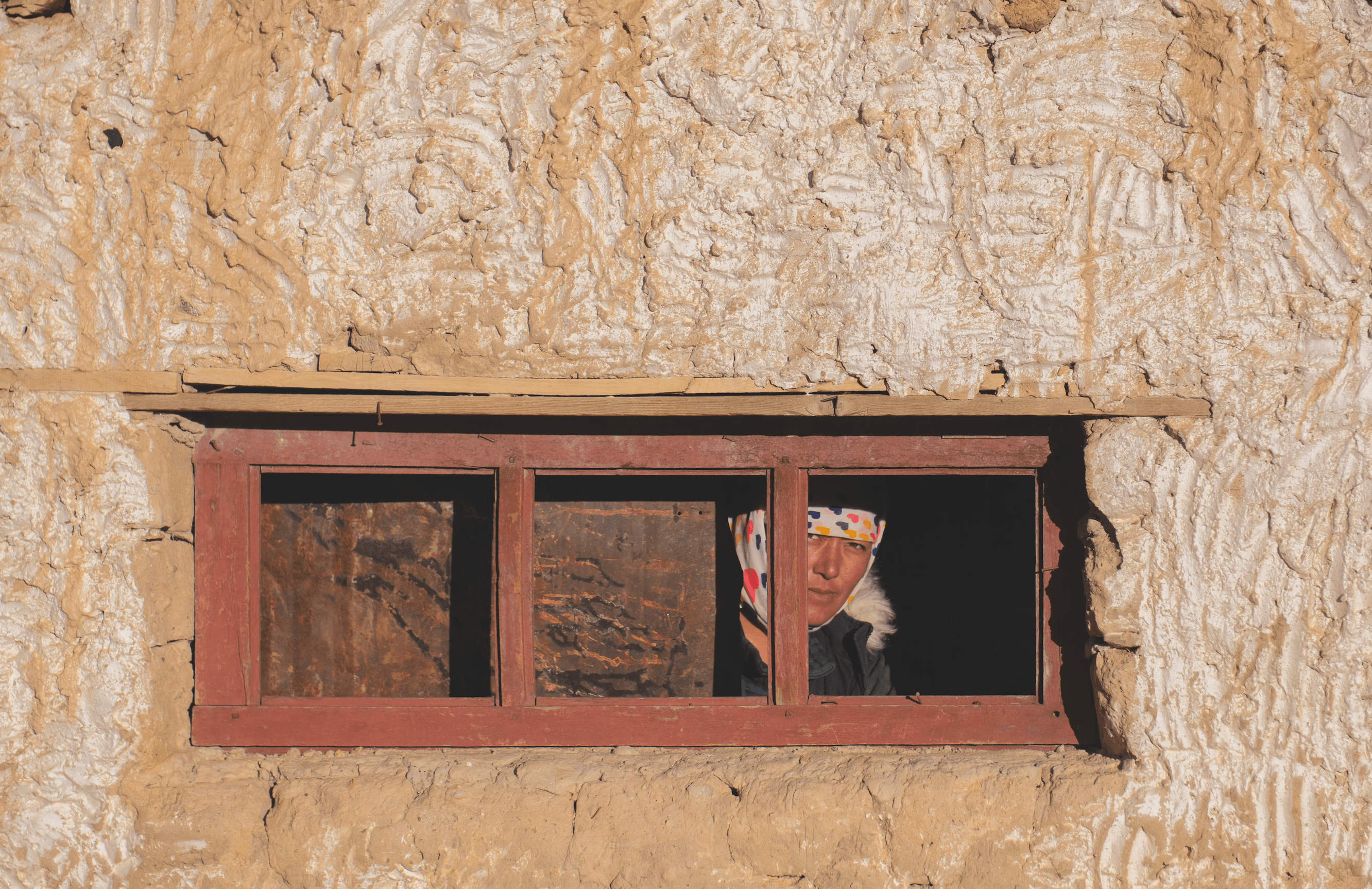 The owner gets back her view through the window