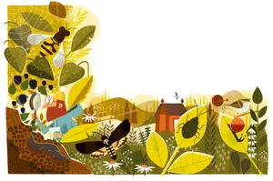 Illustrations by David Semple. Illustrations by David Semple.