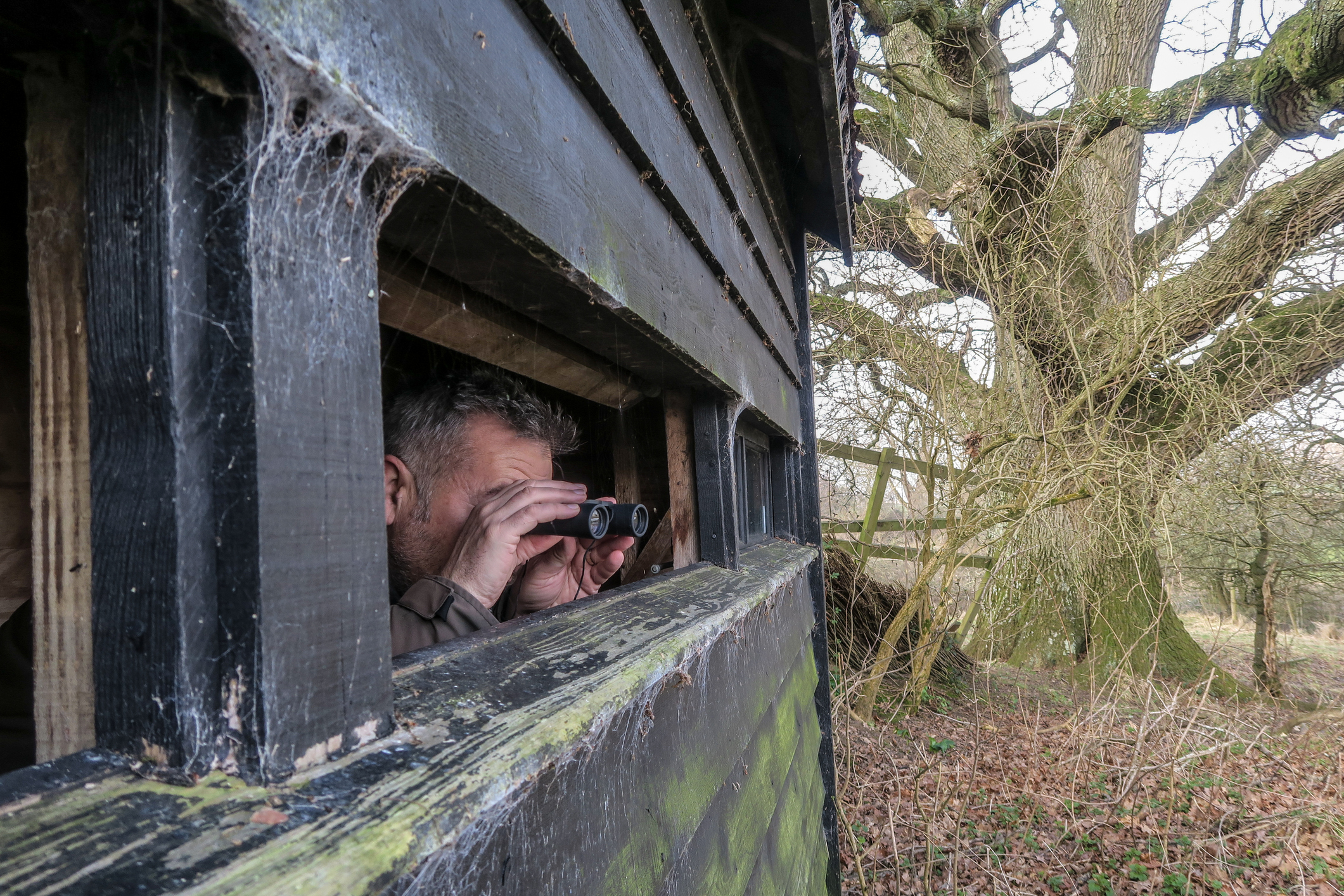 A twitcher in a bird hide. © paul mansfield photography/Getty