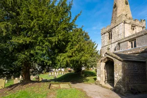 Yew trees in a churchyard. © R A Kearton/Getty Yew trees in a churchyard.