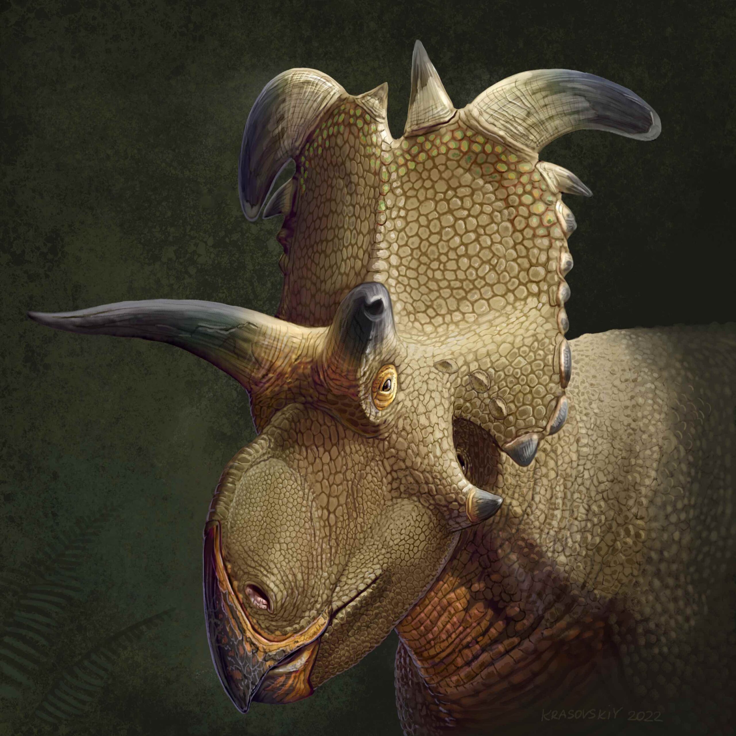 Lokiceratops dinosaur