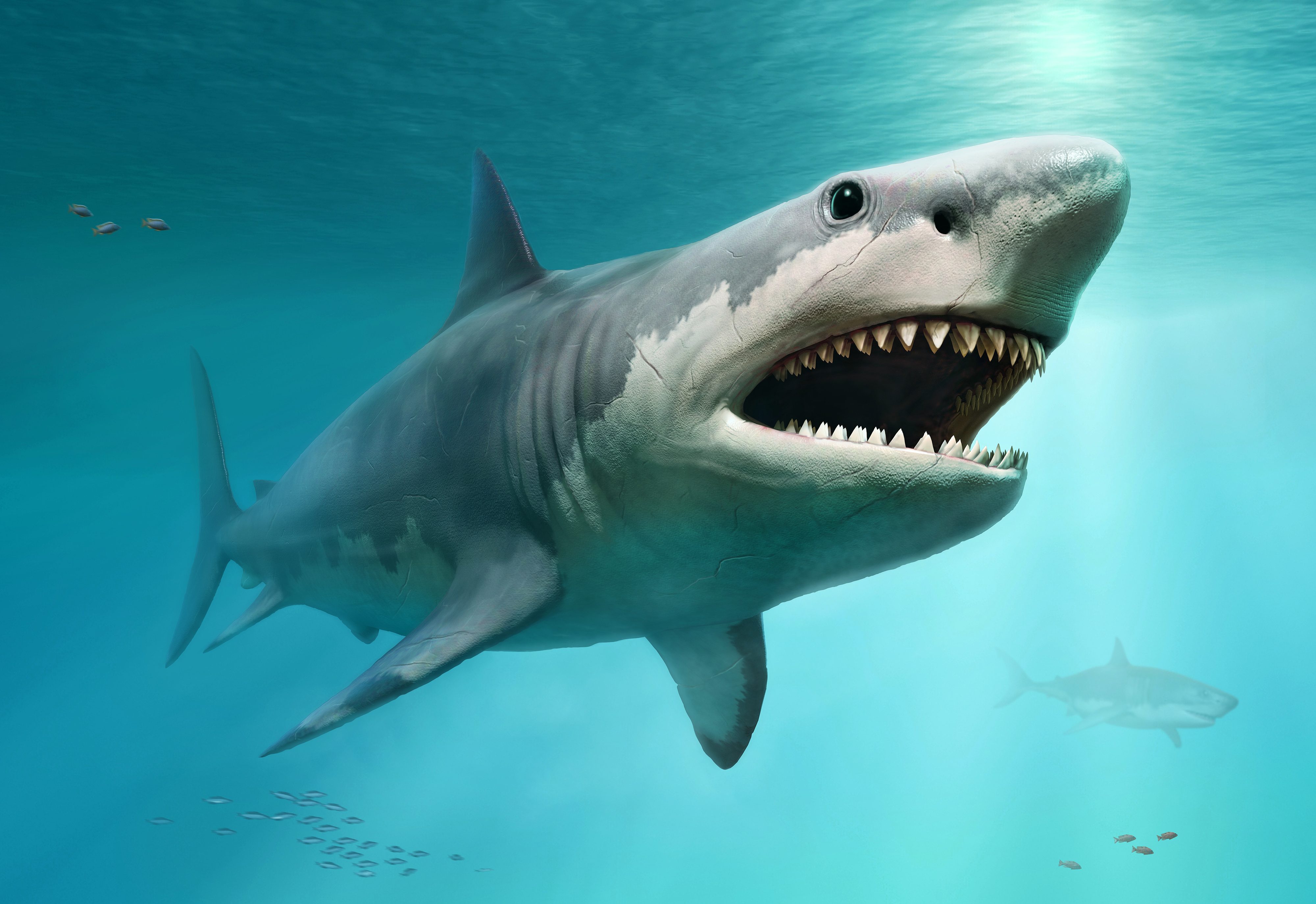 Megalodon Getty