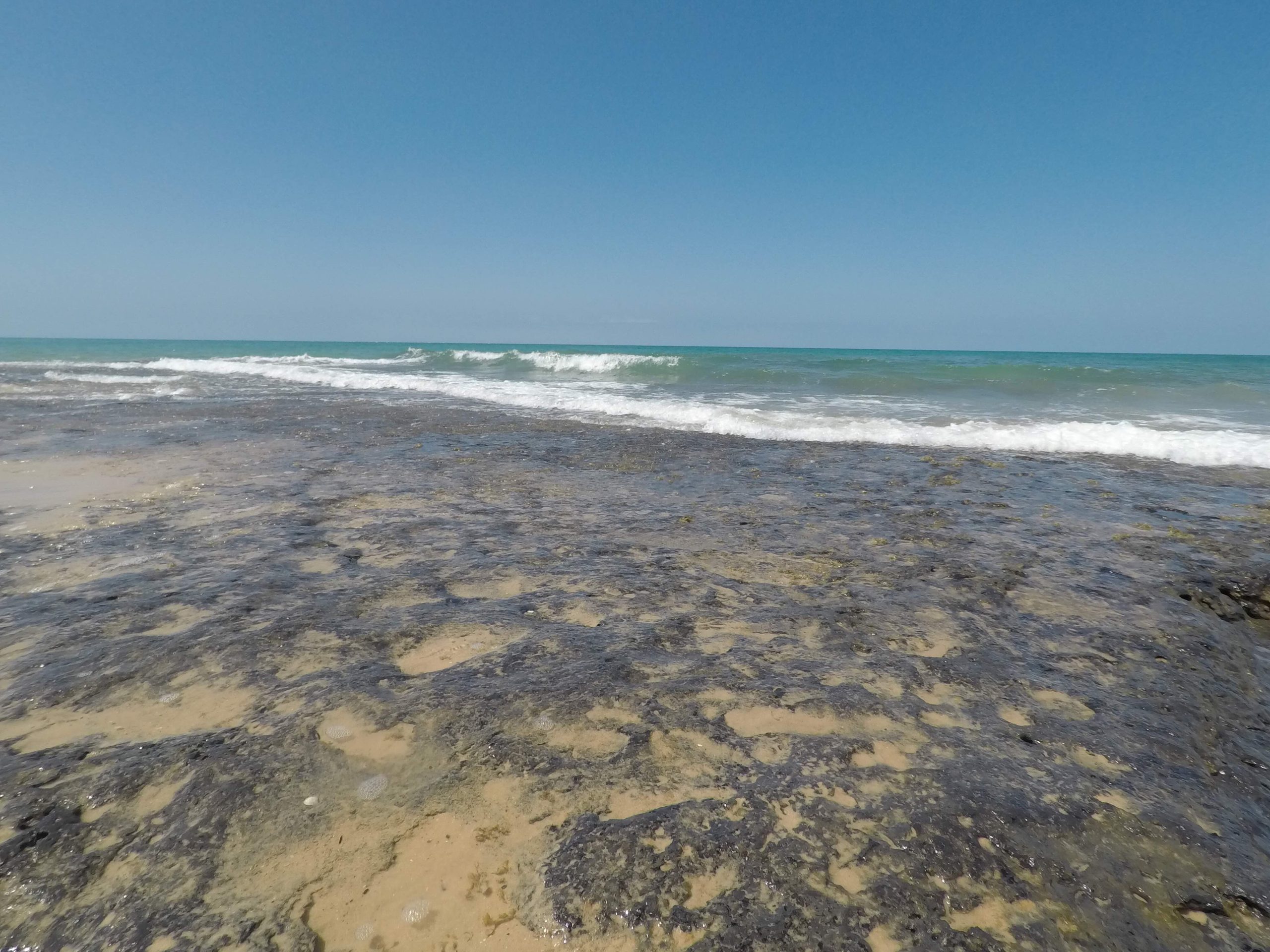 Exposed peat reef