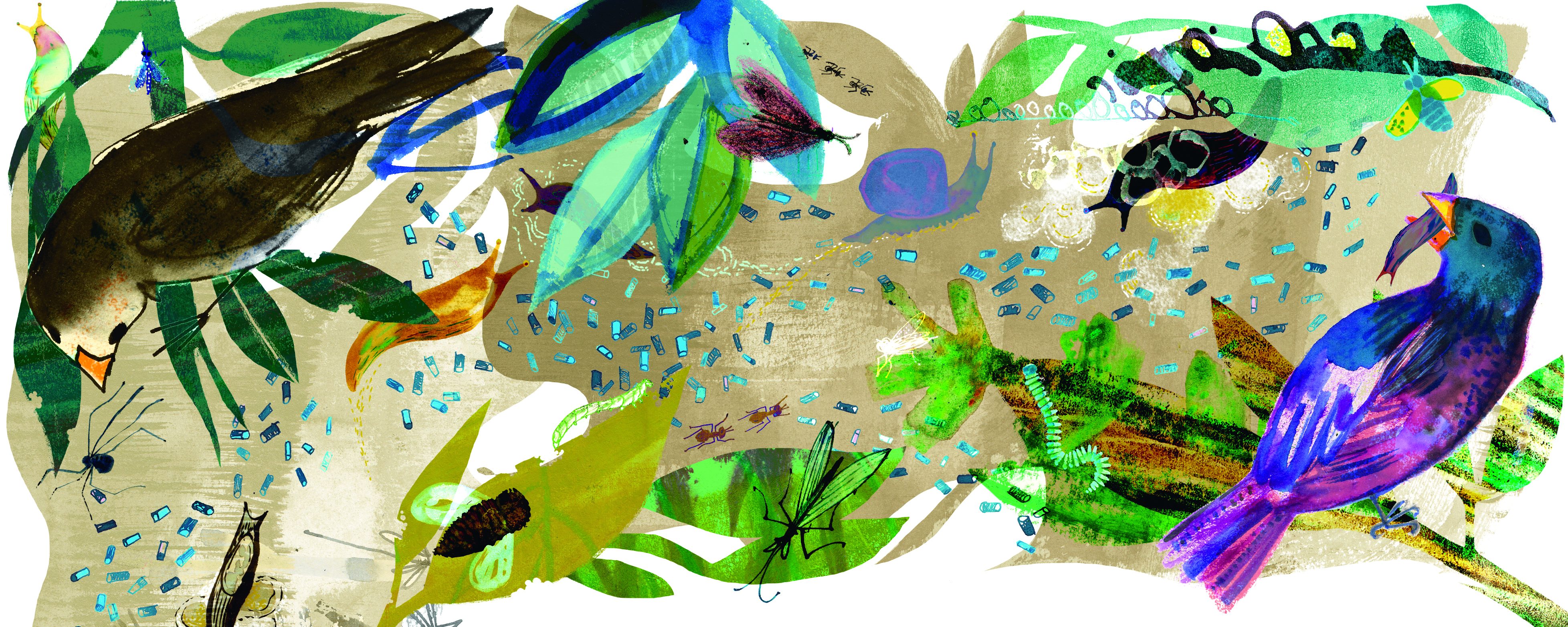 Illustration by Jill Calder/Central Illustration Illustration by Jill Calder/Central Illustration